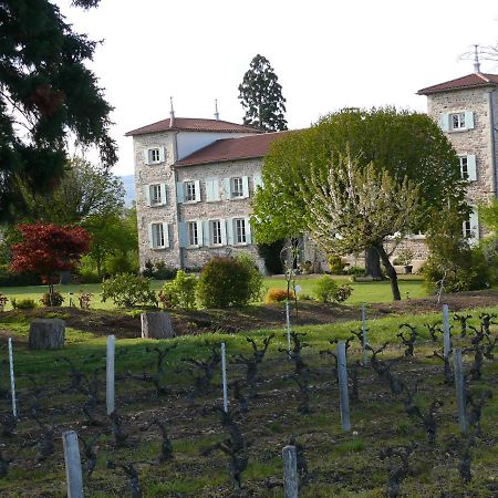 Chateau De Grandmont Chambres D'Hotes Blacé Eksteriør billede